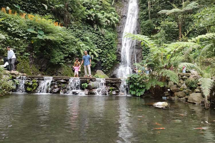 air terjun disekitar kebun teh blitar