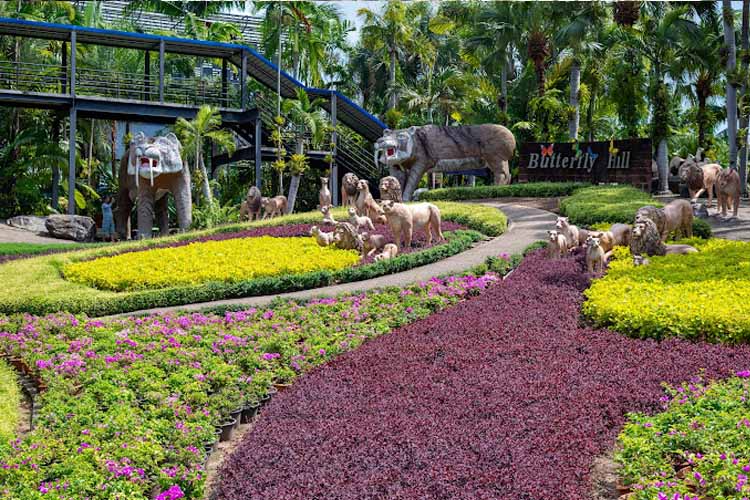 nong nooch village thailand kebun bunga