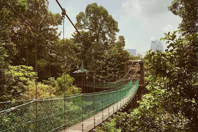 tempat wisata di bukit bintang malaysia KL forest eco park