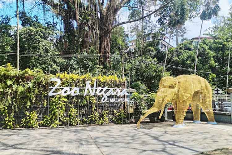 Zoo Negara, Wisata Kebun Binatang Malaysia Terbaik