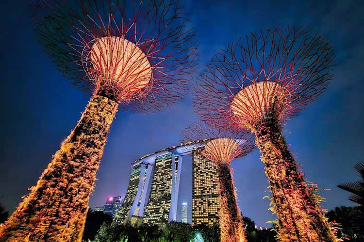 spot foto di singapura Gardens by The Bay