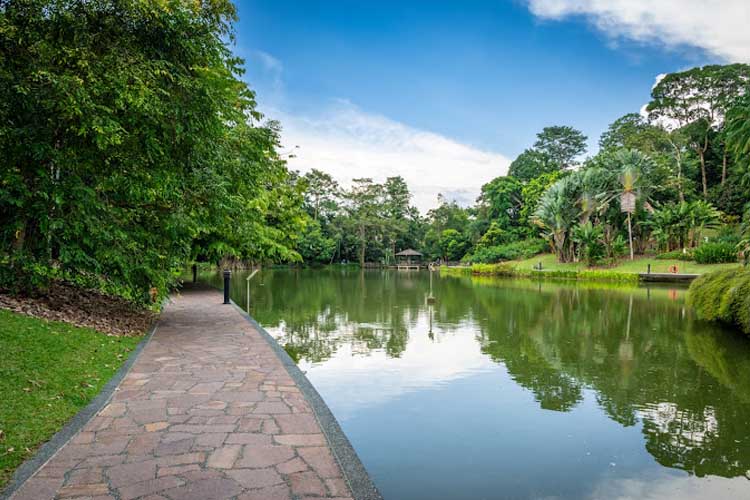 spot foto di singapura Singapore Botanic Gardens