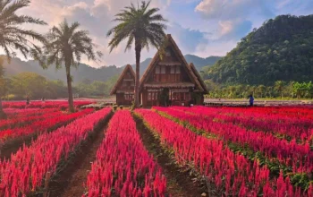 hokkaido flower park