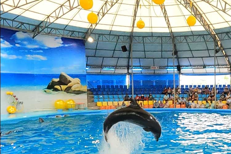 wisata phuket thailand Dolphins Bay
