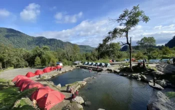 pamah view