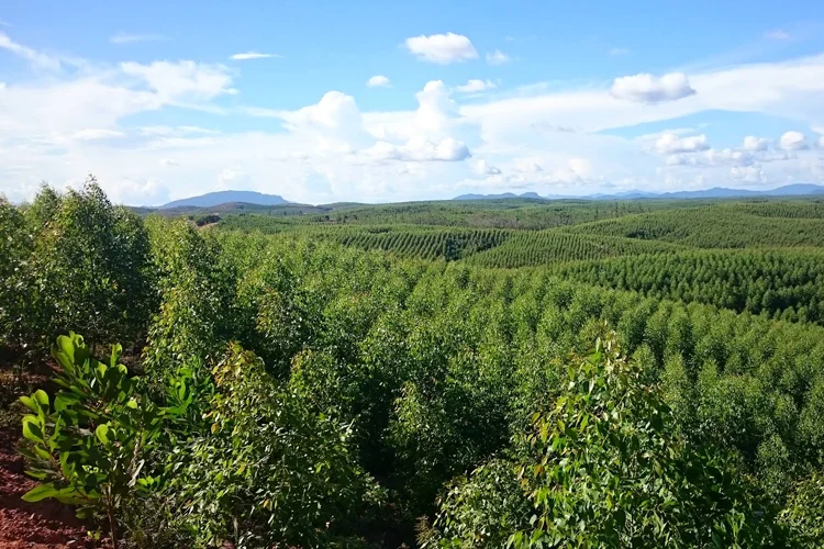tempat wisata di kisaran bukit puncak galau