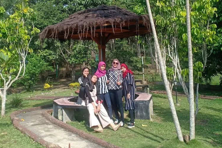 tempat wisata di padang sidempuan Kebun Bunga Matahari Batang Bahal