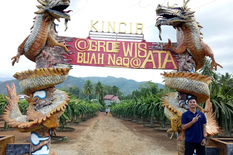 tempat wisata di padang sidempuan Perkebunan Buah Naga Pudun