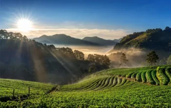 Persiapan untuk Menjelajah Alam