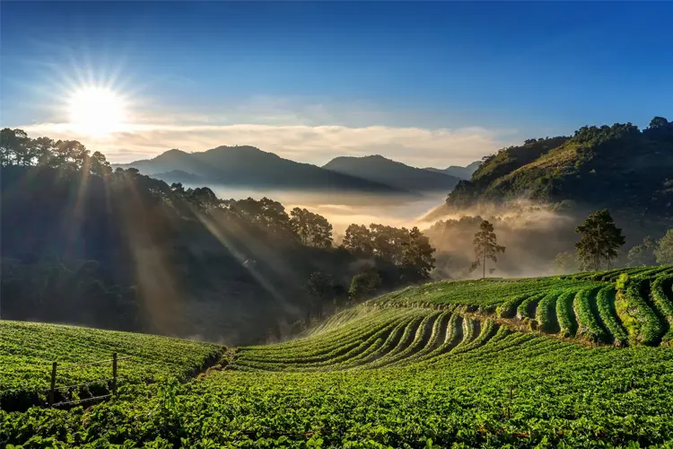Persiapan untuk Menjelajah Alam