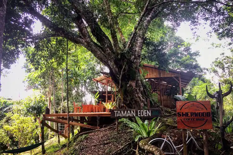 Tempat Wisata di Parapat yang Lagi Hits Pantai Bebas Parapat Taman Eden 100