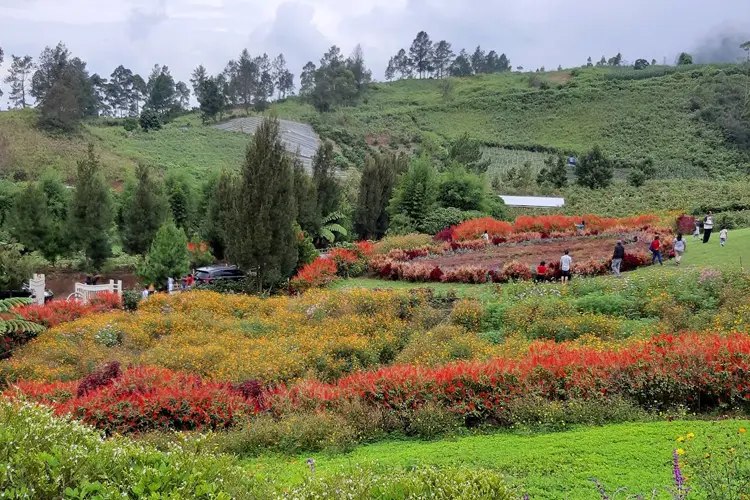 tempat wisata di tongging sapo juma