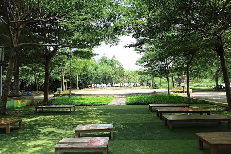D’Kandang Amazing Farm
