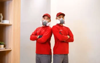 Solusi Jasa Anti Rayap