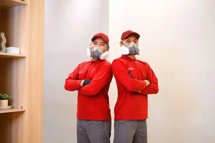 Solusi Jasa Anti Rayap